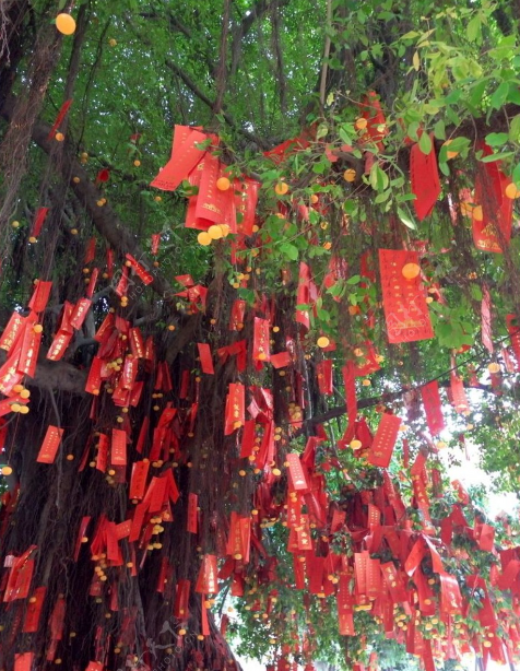 遇见峰林，一见钟情