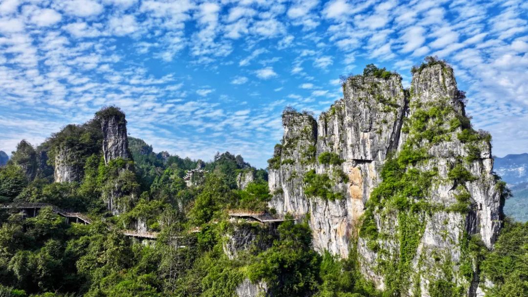 “龙粉”福利，学子免门票、年卡用户免费游，恩旅集团和你一起过龙年