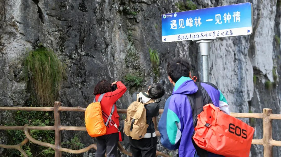 正月初八丨 一起过Long年，恩施大清江春节圆满收官！