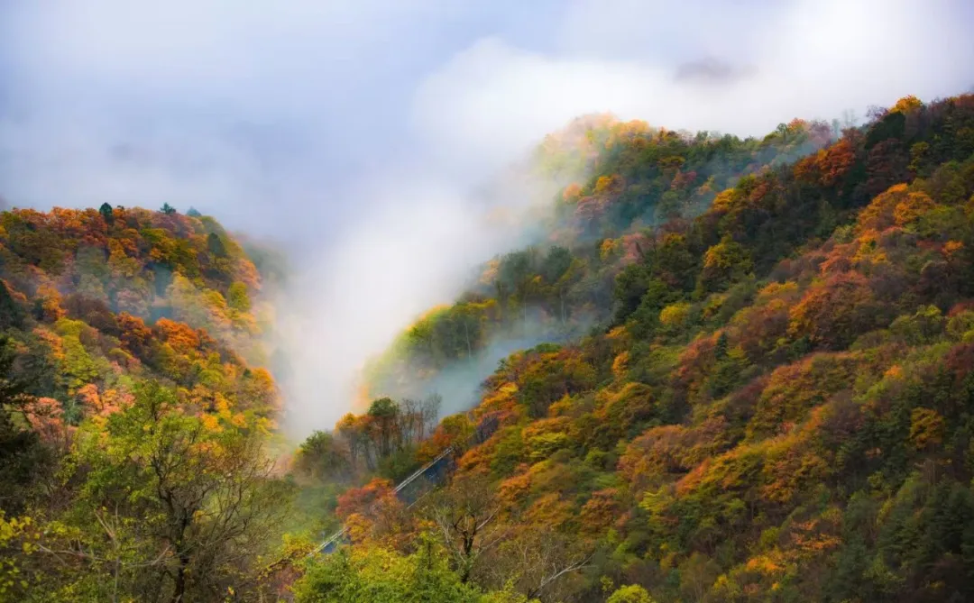 拍视频，领大奖！2024年湖北文旅集团秋冬视频大赛活动等你来参与！