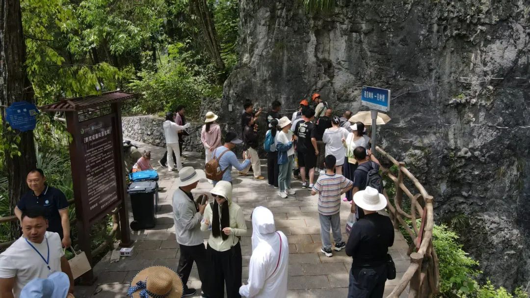 恩施大清江&红花峰林景区人气爆棚！多部门联动守护安心假期！