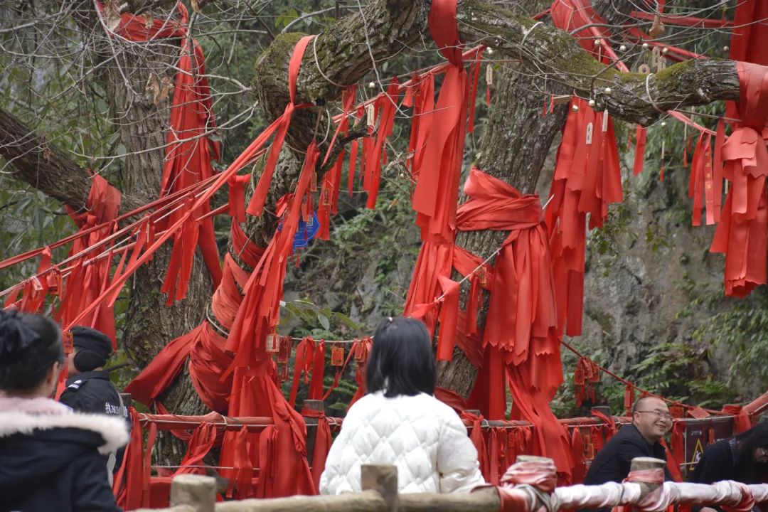 踏青赏春正当时，恩施高中百名女教师畅游红花峰林