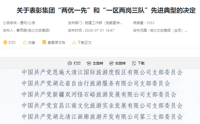 恩施大清江：获评湖北文旅集团“先进基层党组织”